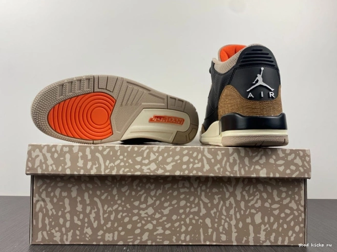 Elephant Desert Air Jordan CT8532-008 3 0709